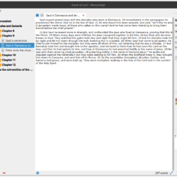 Manuskript Editor Pane in Text Mode