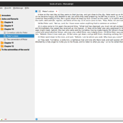 Manuskript Editor Pane in Text Mode